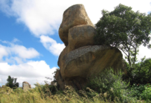 Doon Estate购物图片