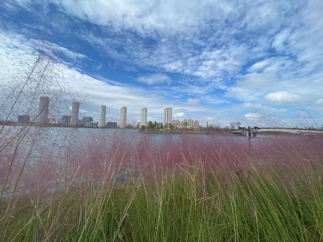 兰香湖旅行图片 2