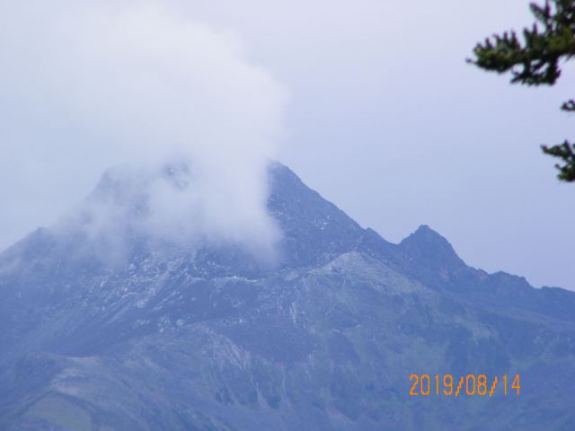 鲁朗林海风景区旅行图片 4