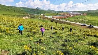 天蓝云白圣洁地——西部环线万里行(7)