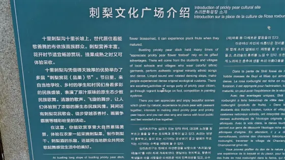 龍裏縣谷腳十里刺梨溝景區