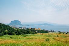 Jeju Olle Trail - Route 07 (Jeju Olle Tourist Center - Wolpyeong)-西归浦市