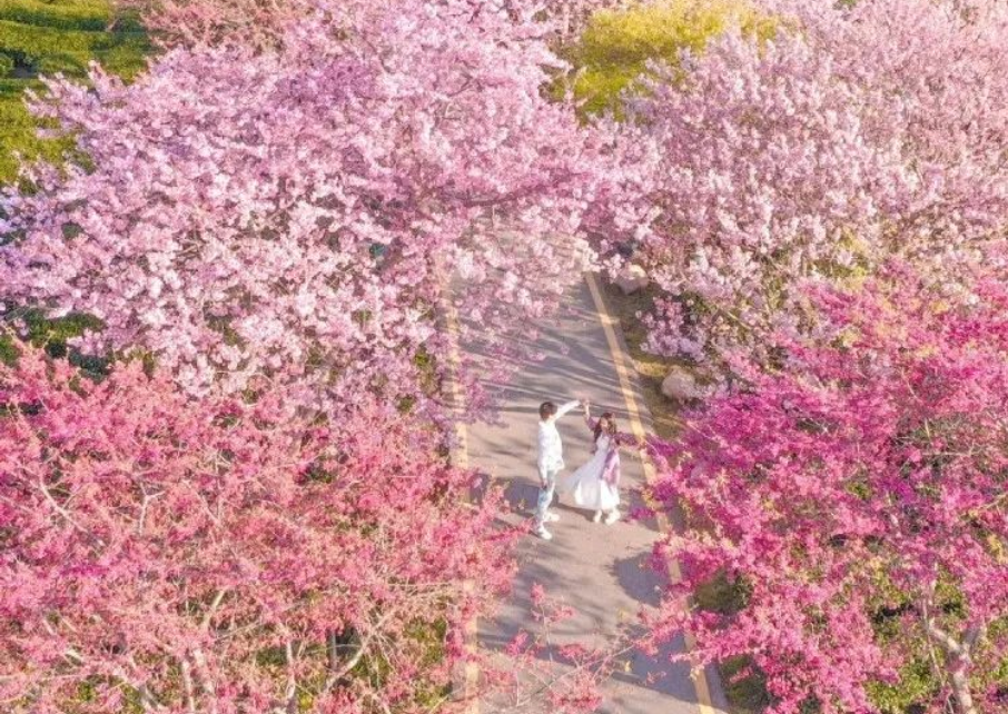 锦绣江南生态农庄