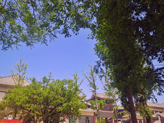 春季将尽，用美图回顾龟蒙春日