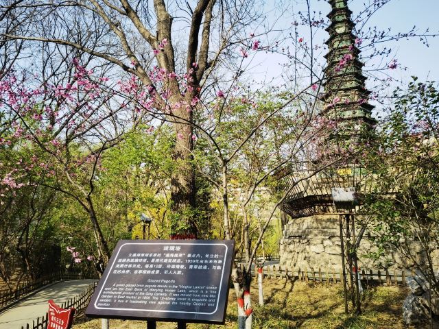 文瀛公园旅行图片 7