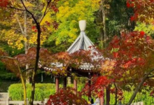 栖霞禅寺-明镜湖景点图片