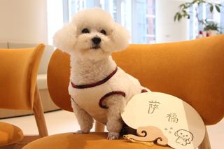 海中升明月,天南共此时(2023年的海南陵水之行!)
