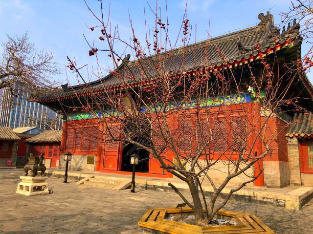 智化寺旅行图片 3