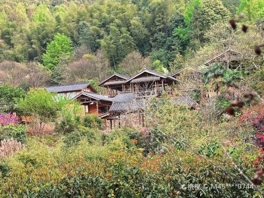 梅林湿地公园