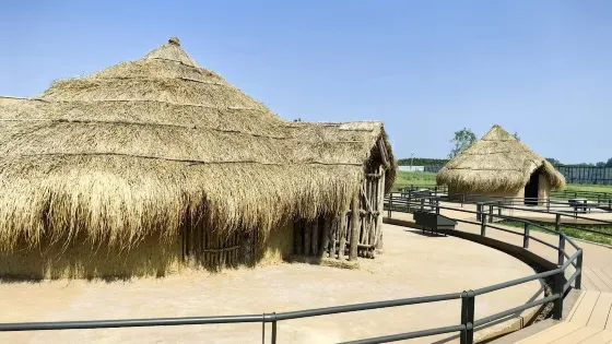 賈湖遺址