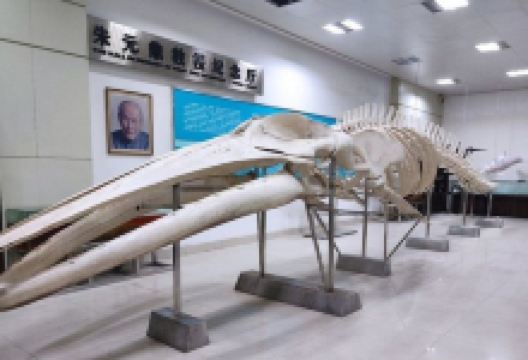 水生生物博物馆景点图片