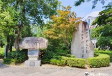 黄池莲池景点图片