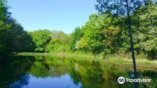 Parc des Gayeulles-雷恩