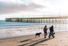 Cayucos State Beach景点图片
