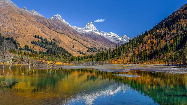四姑娘山双桥沟景区