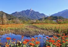 大别山景点图片
