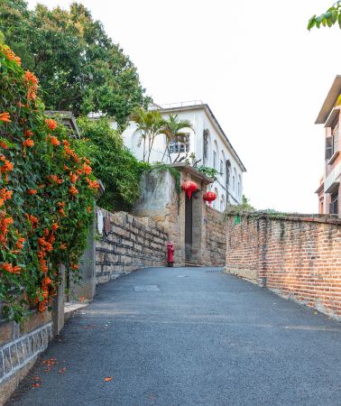 9D8N • Xiamen + Wuyishan + Fujian Tulou + Chaoshan Region