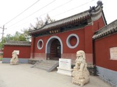 黄粱梦吕仙祠-邯郸-大松树叶子