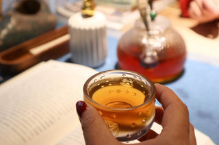 天然人文,精致情思丨鹪鹩的异样风情