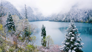 这个秋天和四川来场约会~成都、九寨沟、黄龙七日游