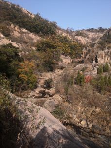 桃花涧-连云港-羊大娘
