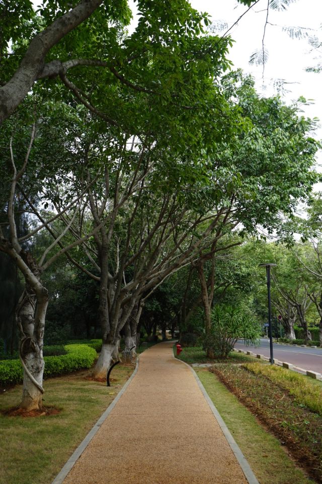 五缘湾湿地公园旅行图片 4
