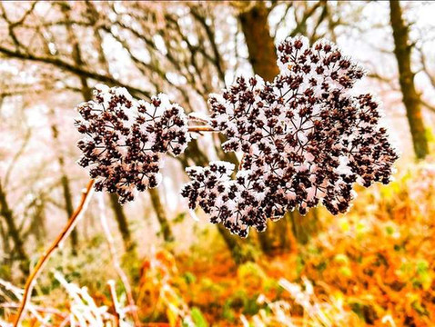 乘天岳大索道,打卡岳阳最美观雪景坐标
