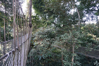 云南西双版纳、腾冲、芒市9日遛娃详细行程攻略