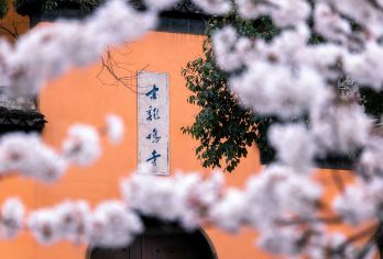 南京文化漫步｜鸡鸣寺香火+玄武湖联游VIP讲解｜2小时精华版【非常解说：严选7年以上导游从业者为您深度解说历史文化！】