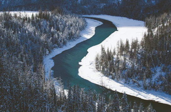 哈巴河游记图文-深藏的童话小镇，不输欧洲！问问雪场放牧人，那湖怪的传说~