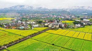 安仁游记图文-春风三月，粤港澳大湾区媒体采风团赴安仁开启赏花模式
