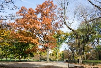 大城历史公园一日游【独立成团丨专属导游服务丨精致行程体验】【大城历史公园一日游】