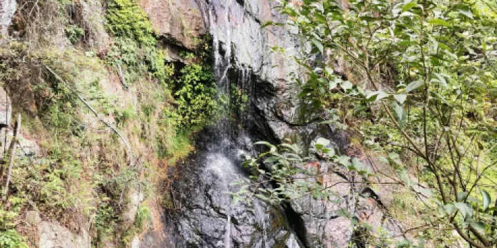 仙巖風景區-梅雨潭
