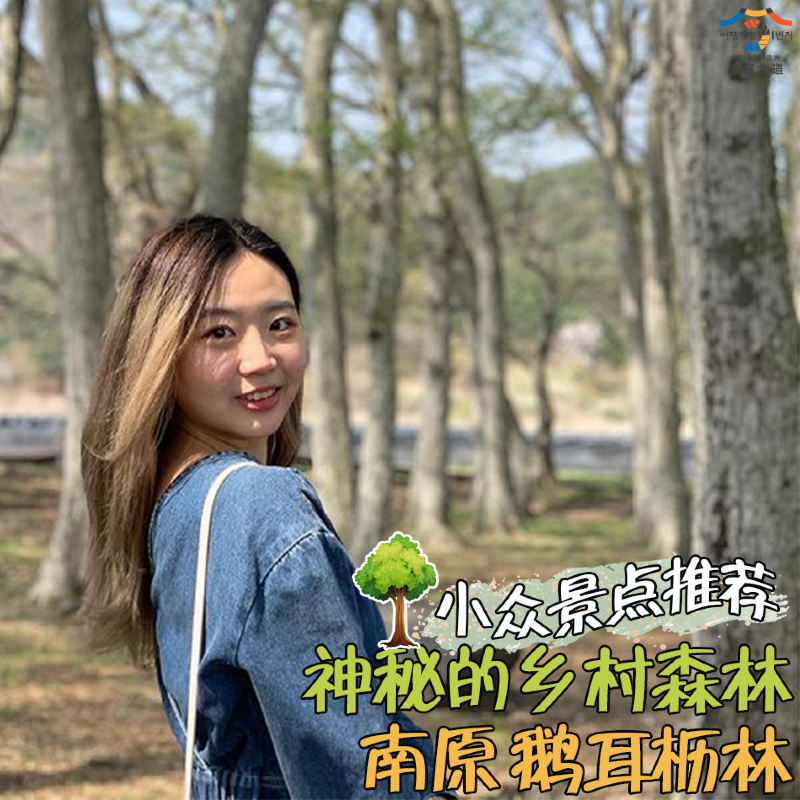 🌟2021韓國全羅北道宣傳王【鄉村森林】🌟。