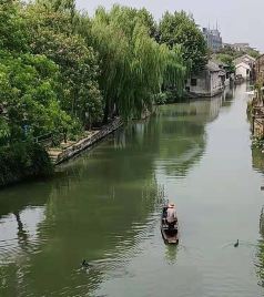 同里镇游记图文-带娃去水乡