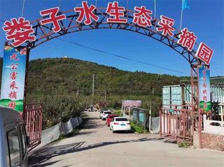 北京房山娄子水生态采摘园，大桃桑葚和苹果，樱桃与杏样样俱全！