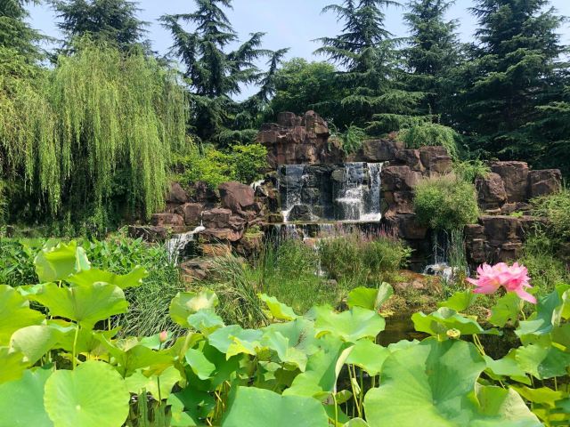 古华园旅行图片 3
