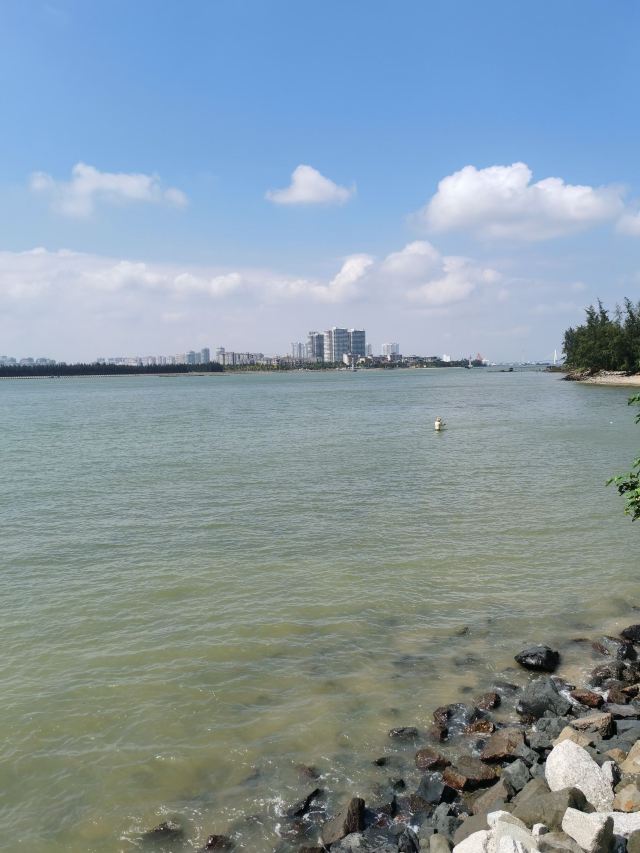 东郊椰林风景名胜区旅行图片 4