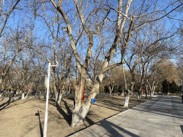 凉州植物园旅行图片 2