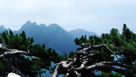 賽武當-伏龍山