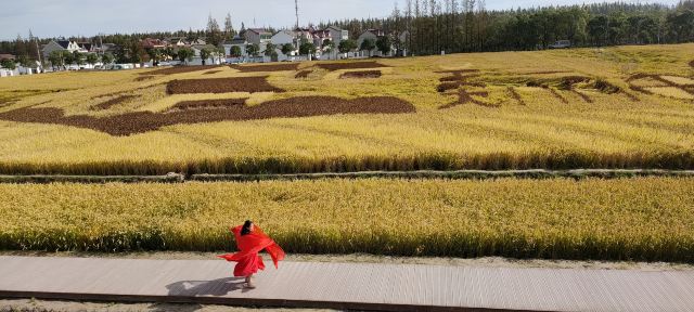 合庆郊野公园旅行图片 1