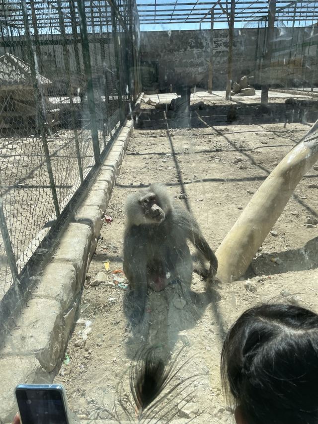 新疆天山野生动物园旅行图片 1