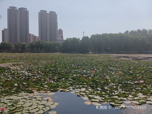 丽景湖公园