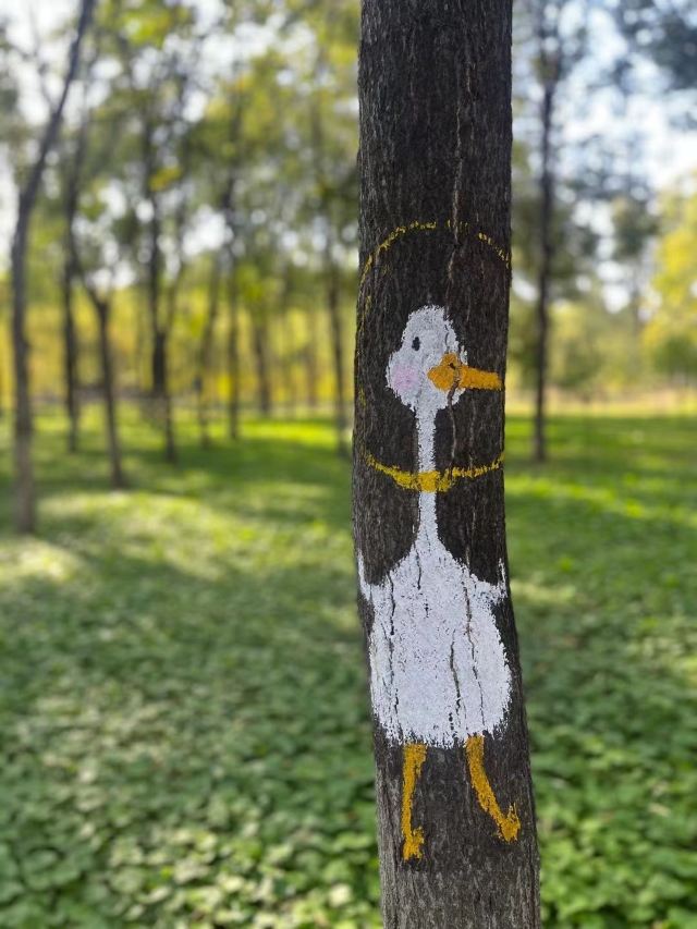 将府公园旅行图片 3