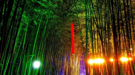 沂南漢墓博物館