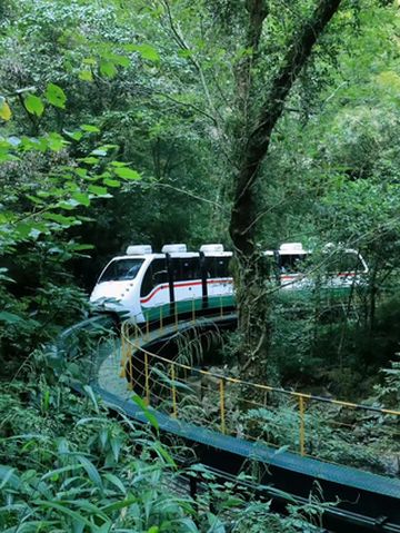 江浙沪周边两天一夜攻略,开往春天的童话小火车,体验感极佳