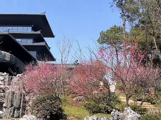 小梅山城市公园