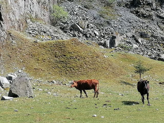 路过雅安，走进大凉山（其一） ——冶勒湖，有舍有得，稍有遗憾