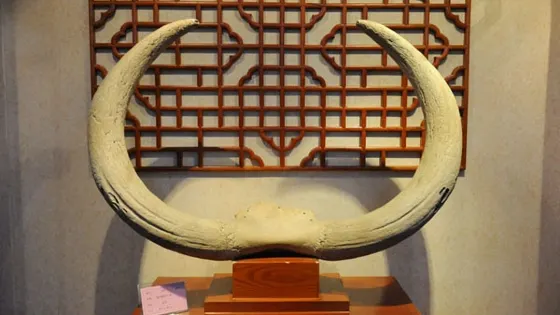 祥順博物館