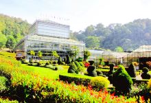 斯瑞科皇后植物园景点图片